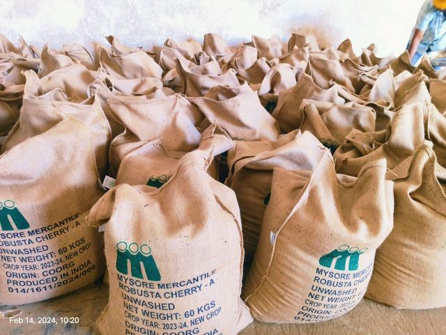 ROBUSTA CHERRY AA Scr 18 Origin India Packing 60 Kgs (net) Place of Origin INDIA Max. Moisture (%) 12.75% Packaging Details 60 KGS NET IN NEW JUTE BAG - Image 3